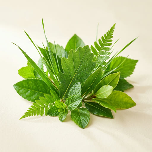 Galbanum fragrance note