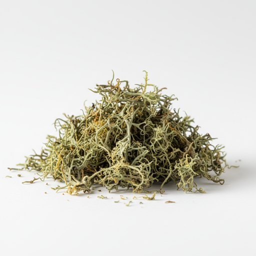 Oak Moss fragrance note