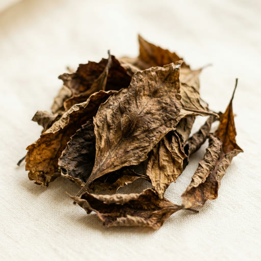 Patchouli fragrance note